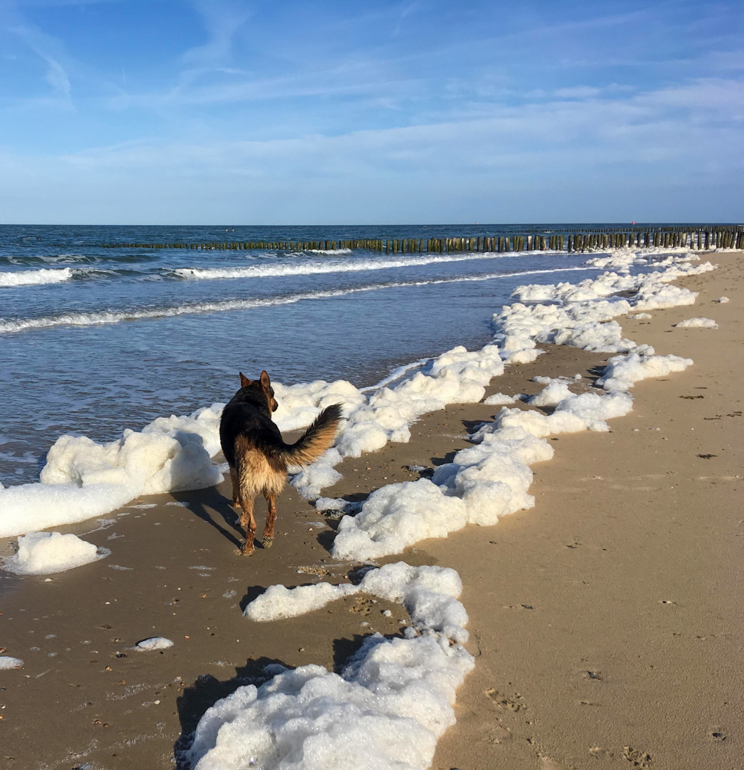 Strandwandeling