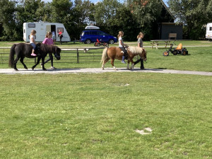 pony op de camping